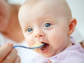 7个月宝宝吃什么(7个月大的婴儿可以吃什么)