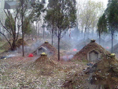 娘去了一个叫天堂的地方,故乡的山水依旧在,却没了家的味道