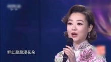 王庆爽演唱歌曲 木棉花开 歌声唯美动听,醉人心扉