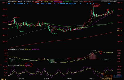 2016年金星秀全集视频