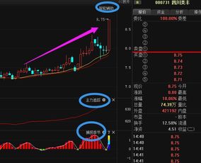 000731走势分析