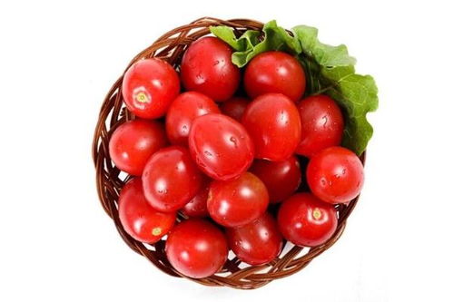 孕妇可以吃小西红柿圣女果吗