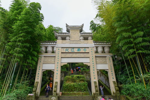 永川茶山竹海景点介绍(永川有免费停车场)