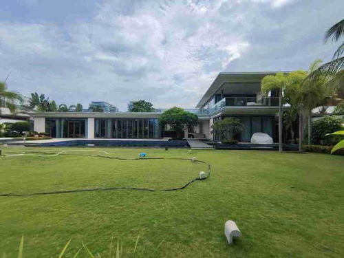 海南陵水清水湾一栋海景别墅拍卖,被隔壁的富豪6500万买下