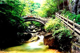 绿色明珠！郑州国家森林公园,郑州国家森林公园简介（是文艺爱好者的聚集地）