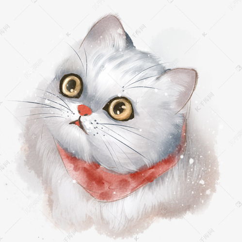 可爱动物猫咪素材图片免费下载 千库网 