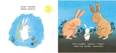 每天一书阅读计划丨 No.12 兔子的心愿