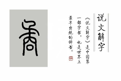 说文解字 第370课 细说 商 字, 商 与 贾 的区别