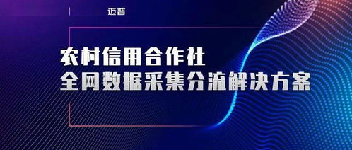 绿盟科技与迈普通信这俩家公司都怎么样，了解的人帮我一下好吗？