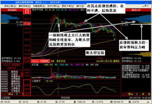 002134我是买9.05的套了，请问明天怎么操作，是补仓还是持股谢谢