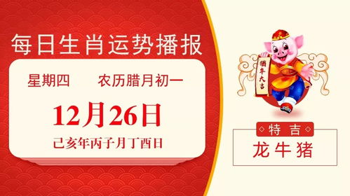 12月26日 生肖运势,龙 牛 猪大吉