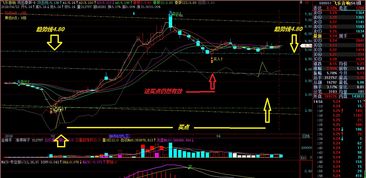 基本面，机构面，技术面各是什么意思