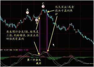 老股民盈利多年分享 为什么只炒两种股票,从不被庄家套牢