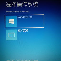 开机显示win10和技术支持