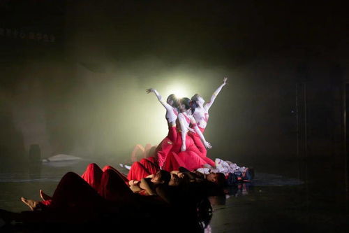 舞蹈高考培训郑州,郑州舞蹈高考培训点亮艺术之光，引领舞者走向梦想舞台