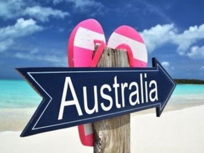 九个容易移民澳洲澳洲的职业分析