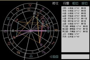 请分析以下星盘,一定要详细,高分悬赏 