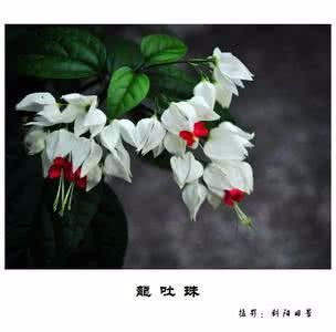 铃兰挂件花芯怎么弄好看(铃兰花的花心可以是什么颜色)