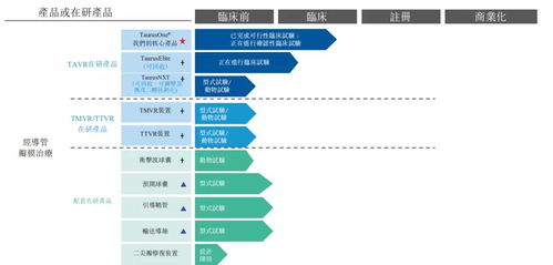 沛嘉医疗最后一天认购时间是什么时候？支持几倍杠杆？