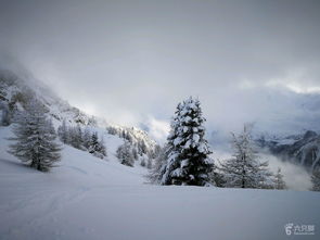 Peisey Vallandry powder snow未命名