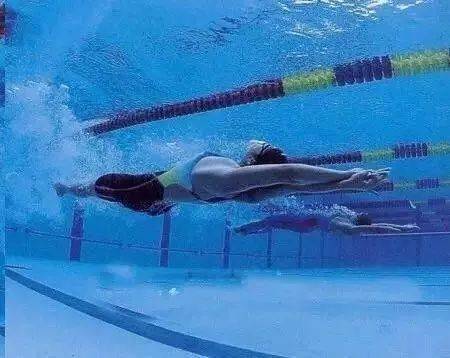 想游泳比身边人快 那就别让他们知道流线型的重要性