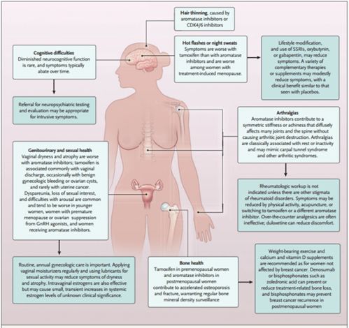 一文总结 ER阳性乳腺癌患者的系统治疗