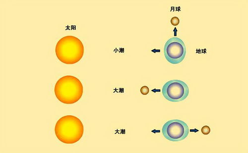 天狗食日即将上演 专家 日食不诱发地震,为何动物会出现异常