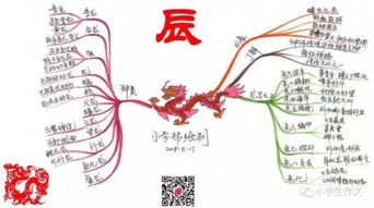 关于龙的俗语和诗句