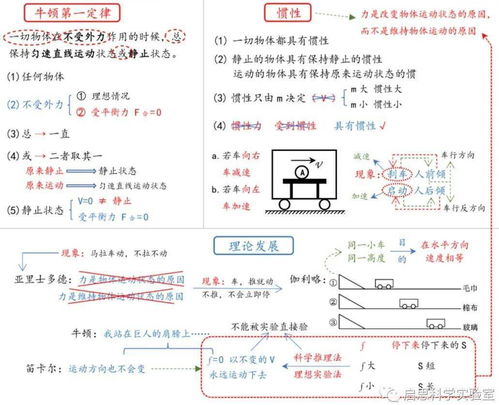 梅花魂课堂笔记