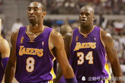 2004湖人总决赛集锦,NBA2004年的总决赛,科比和奥尼尔的表现如何?