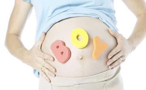 怀孕几个月才可以知道胎儿性别