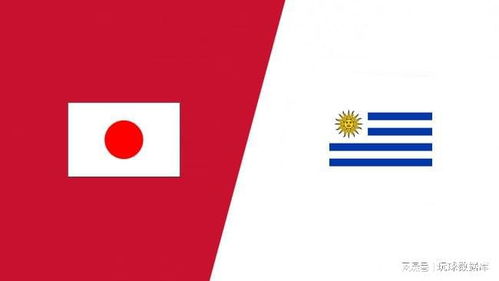 日本vs乌拉圭,日本Vs乌拉圭比赛结果