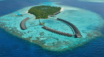 马尔代夫蜜月吧，蜜月旅行去马尔代夫哪个岛屿最好？
