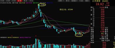 江苏国泰股票2022最高价是多少