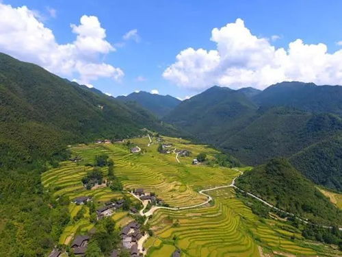 东安 金秋九月迎丰收 遍地梯田披金甲