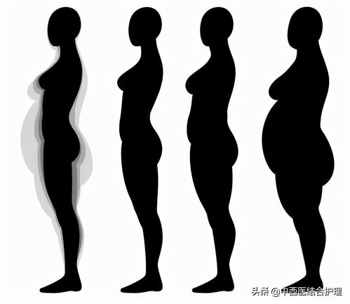 上身胖是脾胃不好,下身胖是肝胆不好,肚子胖是什么