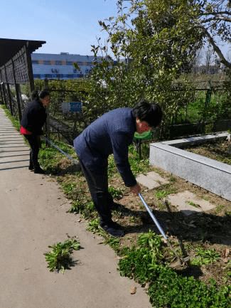 除草播种学养花 阳光学员在行动