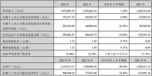 横店东磁的组织机构