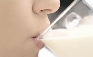 喝牛奶不为人知的真相,乳品专家帮你挑一罐好牛奶
