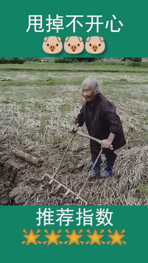 村里80岁的老奶奶还在下田做农活,好像问问她的儿女们去哪了 