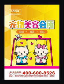 卡通猫咪宠物店海报图片设计素材 高清cdr模板下载 1.08MB 夏季促销海报大全 