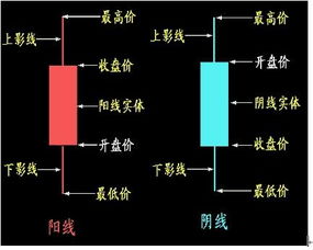 怎样炒股？我什么也不懂，祥细介绍。