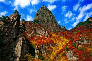 雾灵山门票,河北兴隆雾灵山门票多少钱-第2张图片