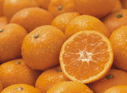 优秀作品2 葡萄和橘子 罗辰辰 
