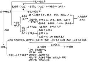 发酵食品生产总结范文—高中生物发酵工程知识点总结？