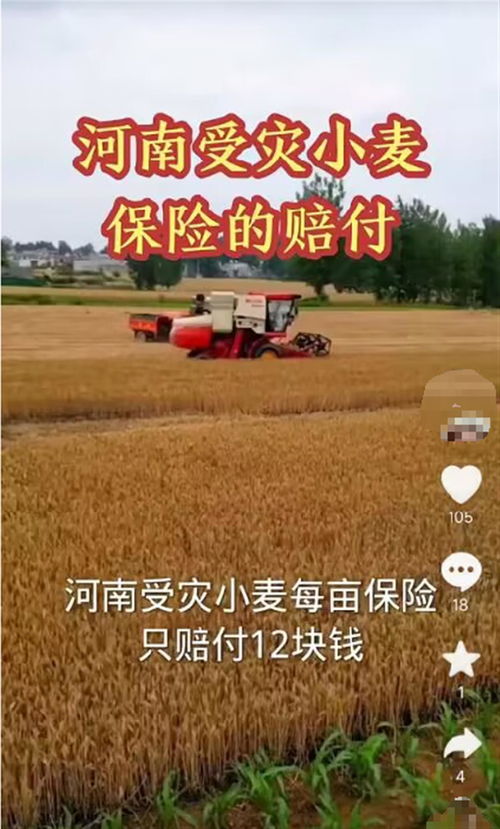 河南西平多名受灾小麦种植户称保险赔付每亩仅约20元,当地称已关注到此事,保险公司未回应 