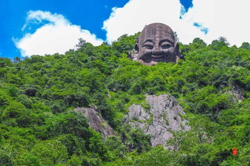 遂昌,一个在浙江只有25度的县城,被江浙沪誉为最值得度假的地方 