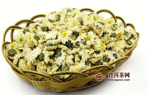 白菊花茶及白菊花的功效与作用 米粒分享网 Mi6fx Com