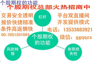 投资个股期权股期宝亏损了权利金是全亏还是部分亏