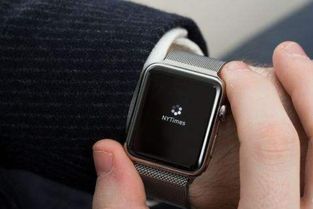 iwatch有必要买不锈钢表壳吗(苹果手表有必要不锈钢吗)